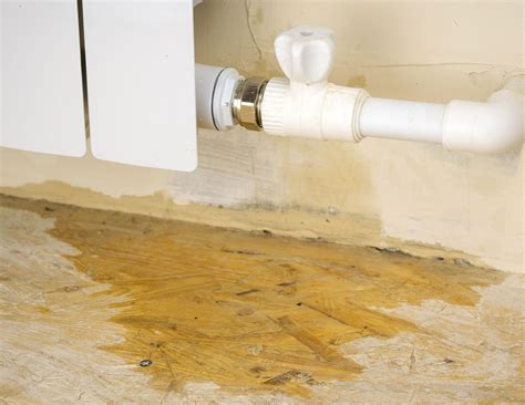 Suspect You Have a Water Leak? Let Service One Take a Look and Fix Your Leak Fast!