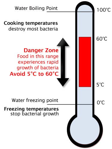 Information and Advice - Food Safety