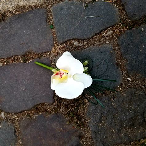 White Boutonniere Orchid Boutonnière Wedding Boutonnière - Etsy