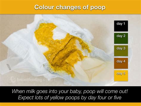 Orange Poop Baby