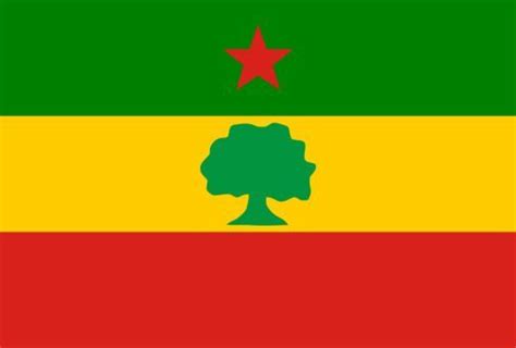 Oromia by Nederbird | Flag design, Unique flags, Flag