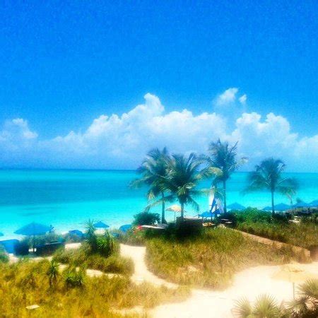 Hotel Reef - Picture of Windsong Resort, Providenciales - TripAdvisor