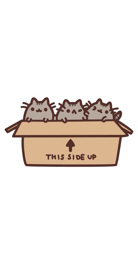 Pusheen Kittens in Box | Pusheen cute, Pusheen stickers, Pusheen cat