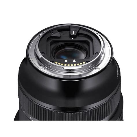 Sigma 14-24mm F2.8 DG DN Art E-mount lens info