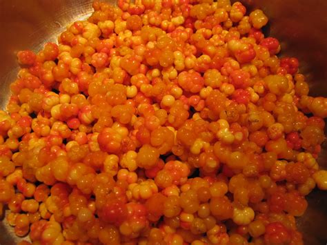 Cloudberry Bakeapple Jam Recipe