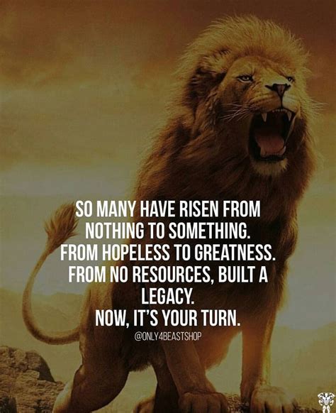 Now, it's your turn… | Lion quotes, Turn ons, Entrepreneurship development