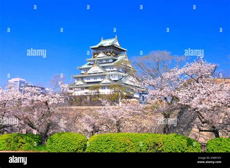 Osaka Castle With Cherry Blossoms Stock Photo - Alamy