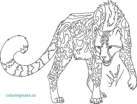 Cheetah Cub Coloring Pages at GetColorings.com | Free printable colorings pages to print and color