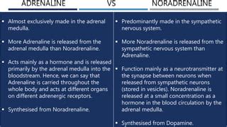 Adrenaline and noradrenaline | PPT