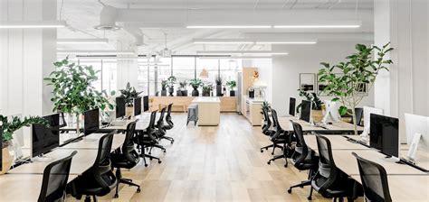 10 Office Design Ideas to Breathe Life Into Your Space