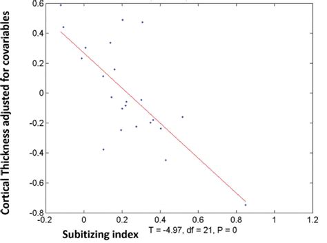 Variation of cortical thickness in the horizontal segment of the... | Download Scientific Diagram