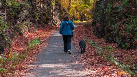 33 Popular & Most Dog-Friendly Parks in the US – Top Dog Tips