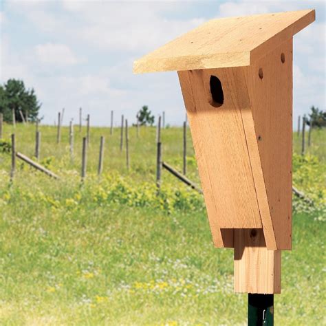 Build a Bluebird House in an Afternoon (DIY) | Family Handyman