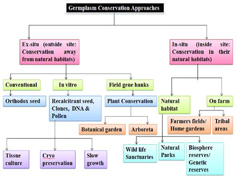 Schematic outline of germplasm conservation approaches. | Download ...