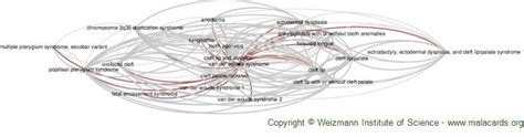 Van Der Woude Syndrome disease: Malacards - Research Articles, Drugs, Genes, Clinical Trials