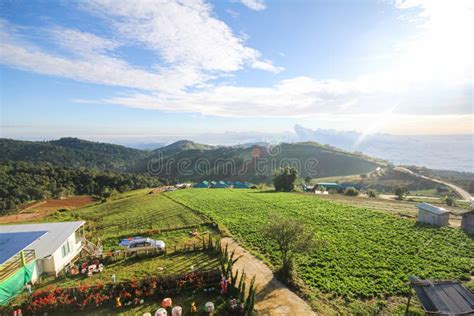 Phu Thap Boek, Phetchabun Province, Thailand Stock Photo - Image of plant, tourist: 107161470