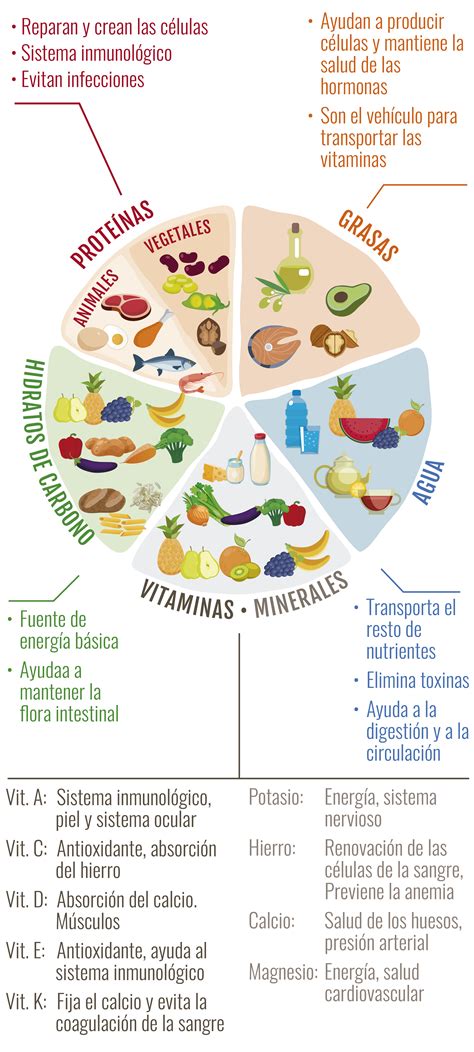 Organizador Visual Sobre Los Tipos De Nutrientes Que Se Encuentra En | sexiezpix Web Porn