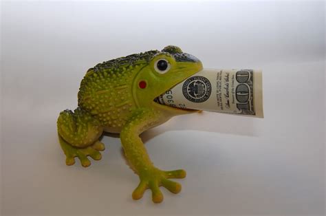 Free Images : finances, wealth, capital, coins, banknotes, monetary toad, profit, sign ...
