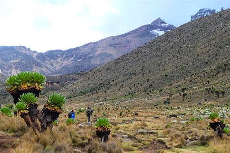 20 Things You Should Know Before Hiking Mt Kenya