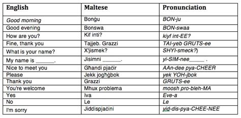 The Maltese Language - Malta Holidays