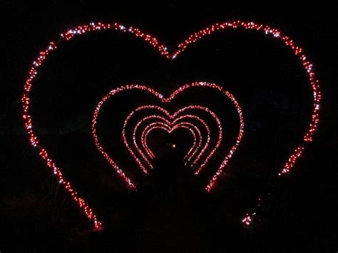 Wimpole Winter Lights | Letchworth District Gardeners Association