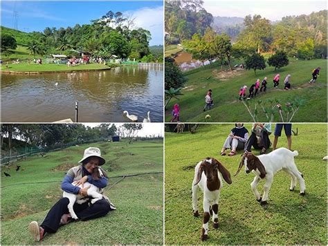 Bukit Jelutong Eco Community | Destinasi Ekopelancongan Terbaik