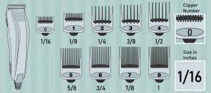 Haircut Numbers & Hair Clipper Sizes: Decrypting Your Barber’s Jargon