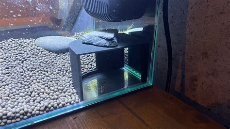 3D Printed Axolotl/aquarium Hide - Etsy Finland