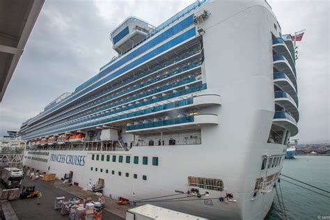 Emerald Princess - description, photos, position, cruise deals