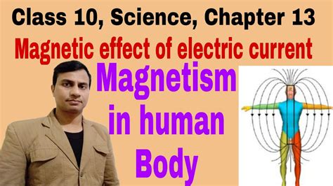 Magnetism in Human Body - YouTube