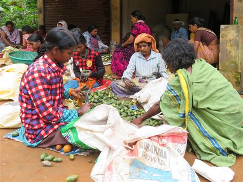 In the Nilgiris, an inheritance of malnutrition