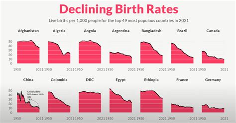 Birth Rate Decline 2022