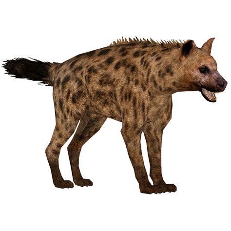 Hyena Lion King Png