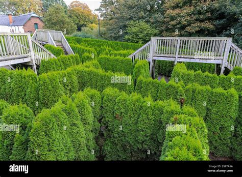 The maze at Speke Hall, a wood-framed wattle-and-daub Tudor manor house ...