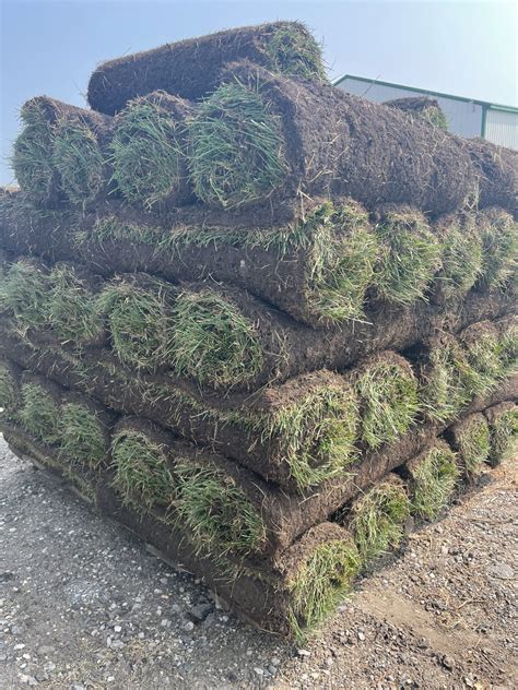 Order Sod Online: Pallet of Fine Fescue - DeBucks Sod Farm MI.