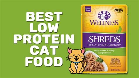 8 Best Low Protein Cat Food In 2023 - Petmoo