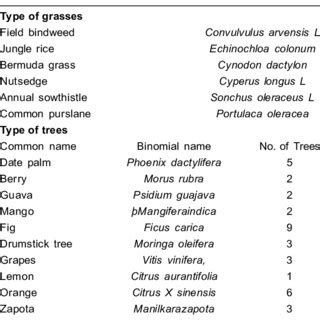 Types of the grasses in pasture. | Download Scientific Diagram