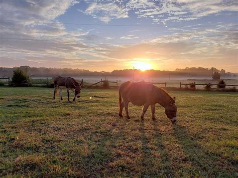 Guilford County — Visit NC Farms