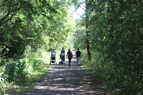 Market Weighton Meander - a Yorkshire Wolds Way Circular Walk • Hiking Route ...