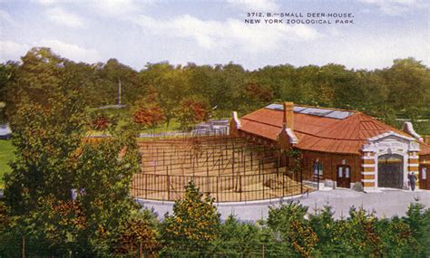 History of the Bronx Zoo : NYC Parks