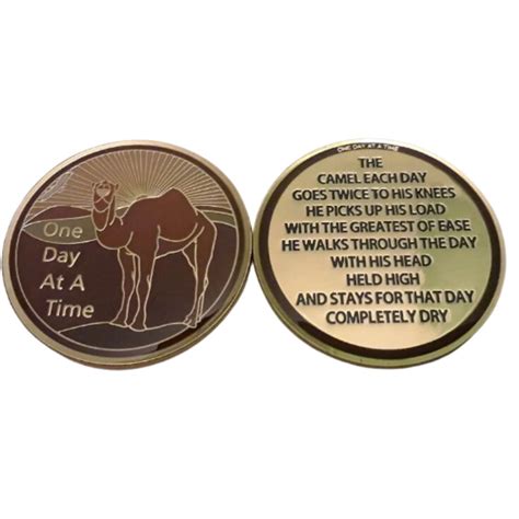 One Day At A Time Premium Camel Specialty Gold - Doing It Sober