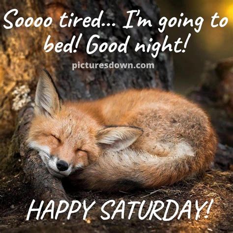 Good night saturday image fox - picturesdown.com