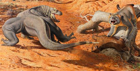 Climate change helped kill off super-sized Ice Age animals in Australia | News | Vanderbilt ...