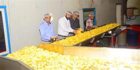 Lord of the rings, Amit Kumat's Rs 850cr Prataap Snacks of Indore eyes gold in the snack market ...