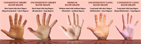 The history of hand shape assessment!