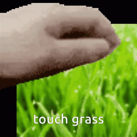 Touch Grass GIF - Touch Grass - Discover & Share GIFs