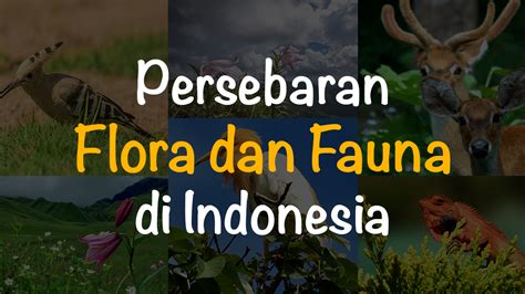 23+ Peta Fauna Endemik Indonesia