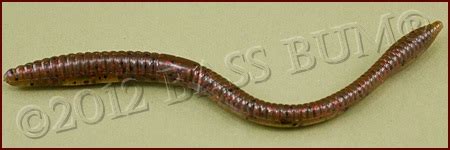 Plastic Worms - The Most Reliable of All Plastic Fishing Lures