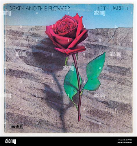 Cover of vinyl album Death and the Flower by Keith Jarrett, released 1975 on Impulse Records ...