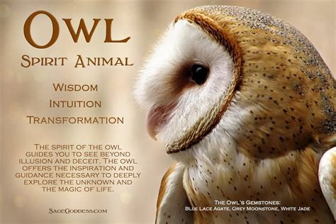 Owl spirit animal | Animal spirit guides, Owl spirit animal, Owl